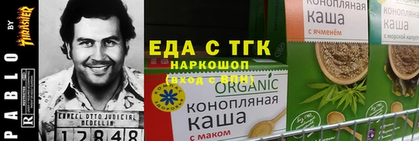 амф Каменка