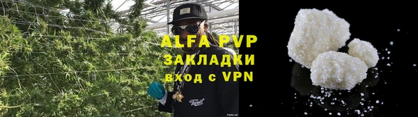 крисы Каменногорск