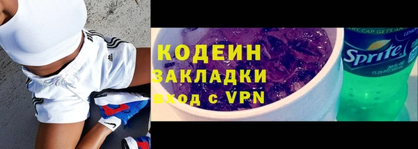 амф Каменка