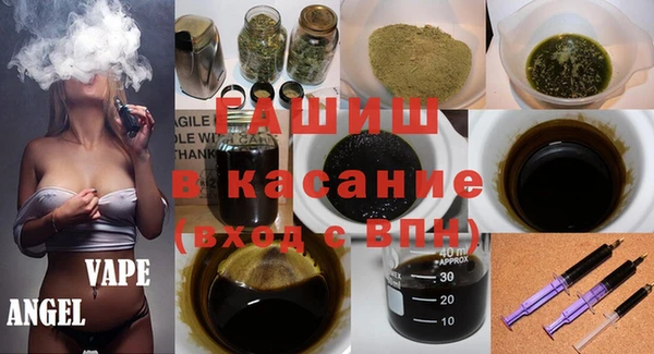 амф Каменка
