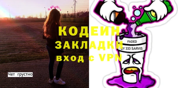 амф Каменка