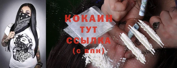 амф Каменка