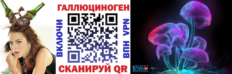 Купить где  Снежногорск  Галлюциногенные грибы GOLDEN TEACHER 