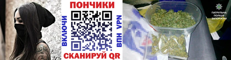 Купить закладки  Снежногорск  Конопля гибрид 